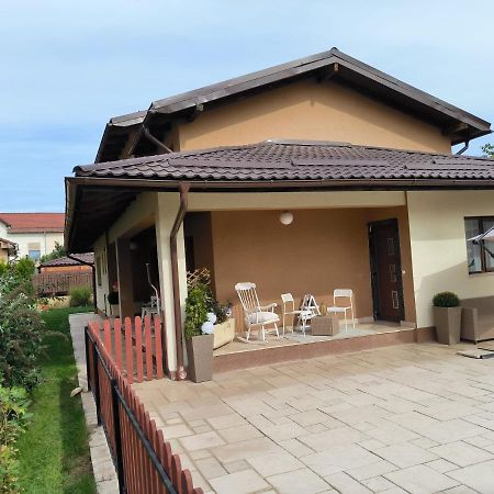 Apartament Luxury Airport Retreat Kluż-Napoka Zewnętrze zdjęcie